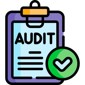 audit 1