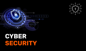 Ransomware as a Service (RaaS)